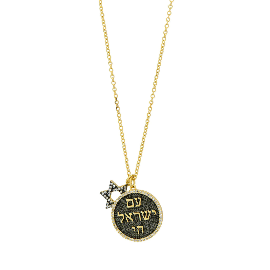 GoldandBlack Star of David Pendant Necklace FREIDA ROTHMAN NECKLACE