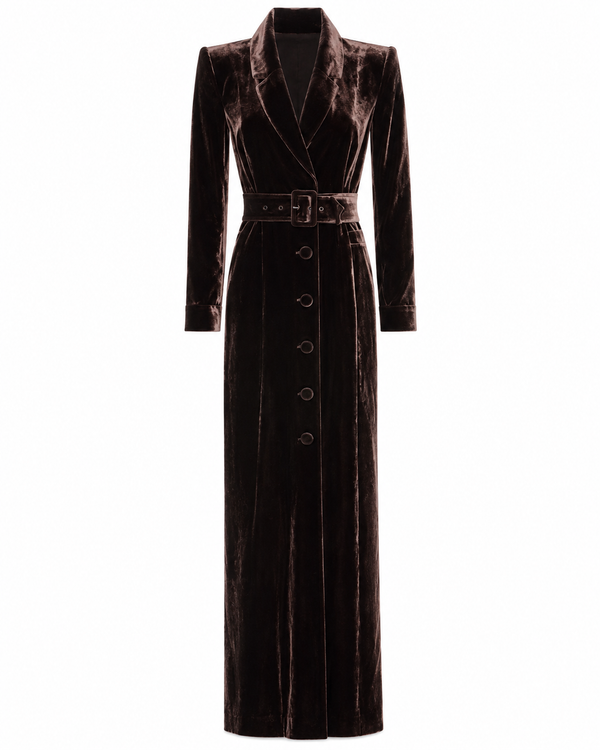 Raini Velvet Maxi Dress Java